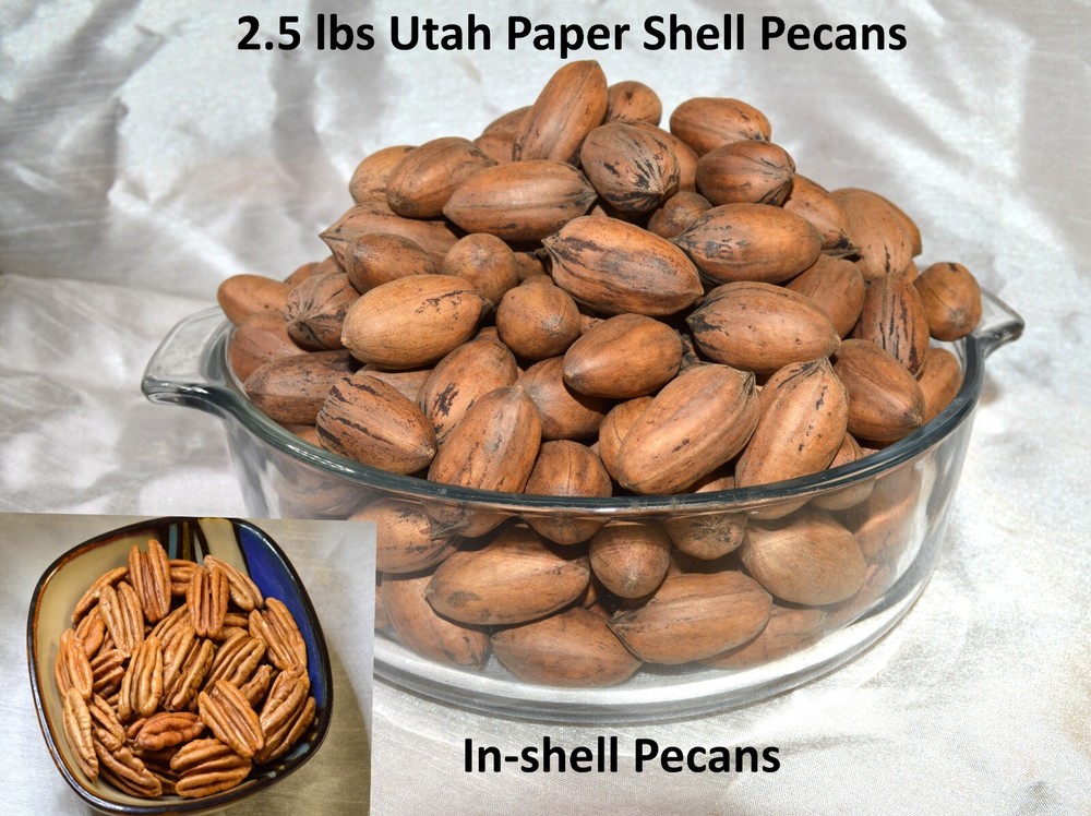 Pecans In-Shell 2.5 lbs Utah Grown Paper Shell Pecan 2023-’24 Crop Free Shipping