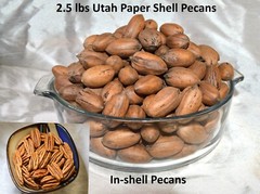 Pecans In-Shell 2.5 lbs Utah Grown Paper Shell Pecan 2023-’24 Crop Free Shipping