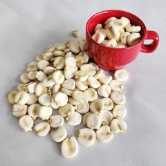 Peruvian Mountain Corn Seeds (30) / Peruvian Maiz Montana / Massive / Rare