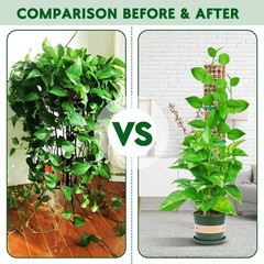 4PCS Plastic Moss Poles for Climbing Plants 24 inch Indoor Plant Support Stakes