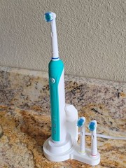 Oral B Braun Brush + Head Holder for oval base / countertop organizer Braun
