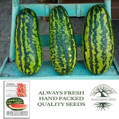 Jubilee Sweet Watermelon Seeds Citrullus lanatus – 50+ Non GMO & Heirloom See…