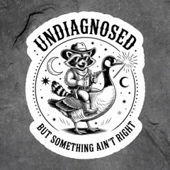 Raccoon Sticker Vinyl Decal Undiagnosed But Something Aint Right Funny Meme
