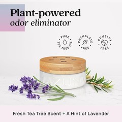 Odor-eliminating air freshener | Aromatherapy | Lasts 60–90 days