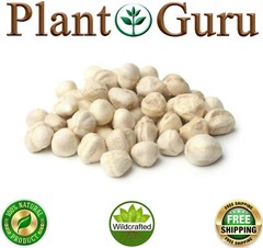 100 Moringa Oleifera Seeds Kernel 1 oz. SHELLED Fresh Organic Semilla De Moringa