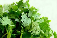 Cilantro Seeds (Split), Leisure Coriander, Oriental & Mexican Cuisine, FREE SHIP