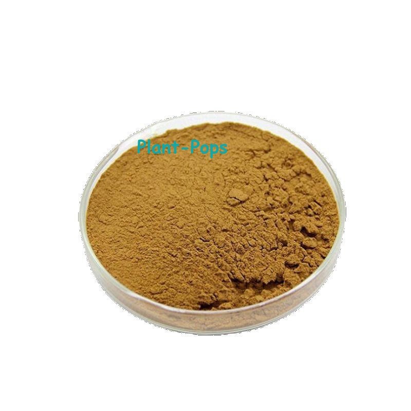100g-500g St.john’s.wort P.E / Hypericum perforatum Powder 0.3%