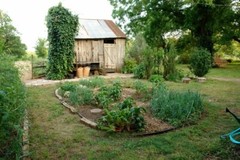 Vegetable Seed Lot $1.99 each 121 Heirloom Varieties For GARDEN/STORAGE non gmo