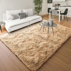 Modern Fluffy Area Rugs Non Slip Shaggy Floor Mat Carpet for Bedroom Living Room