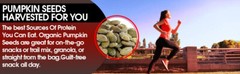 Mayan’s Secret – Raw Pumpkin Seeds Organic 2lb, Parve, Vegan, Non GMO