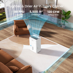 80/ 120/ 150 Pint Energy Star Dehumidifier For Home, Basement & Large Space