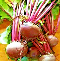 200+ DETROIT BEET SEEDS SPRING GARDEN BEETROOT NON-GMO VEGETABLE HEIRLOOM USA