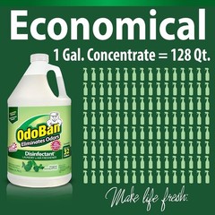 Disinfectant Concentrate and Odor Eliminator,1 Gallon, Original Eucalyptus