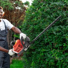 Gas Hedge Trimmer 22.5cc 2 Stroke Gas Powered Dual Sided Hedge Trimmer 650w