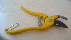 Vintage Hand Pruner Pruning Garden Shears 8” Steel Parrot Beak Yellow
