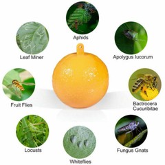 Bug Fruit Fly Traps Sticky Ball Fungus Gnat Pest Control Ball for Indoor Outdoor