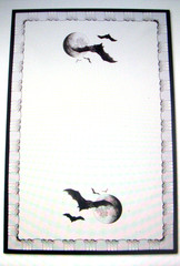 WILLIAMS SONOMA SPOOKY SOIREE KITCHEN TOWELS SET OF TWO 100% COTTON NEW WITH TAG