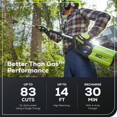 Greenworks 80V 10″ Cordless Pole Saw PS80L210, w/ 2Ah Battery and Rapid Charger