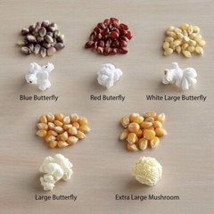 Extra Large Mushroom Popcorn Kernels, Non-GMO Made in US