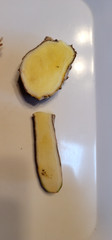 2026 Mango Turmeric Rhizomes For Planting – FREE Shipping