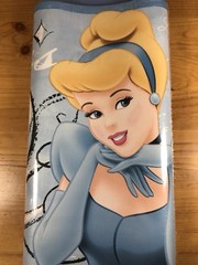 Walt Disney Princesse Cinderella Pre Pasted Wall Border 5 Yards 4.57m X 23cm New