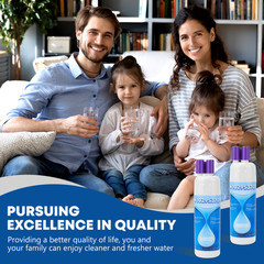 3 Pack Refrigerator water filter 10295370A WHR1RXD1 KAD1RXD1 P8RFWB2L, P8WB2L