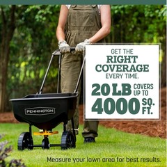 Pennington Kentucky 31 Tall Fescue Grass Seed Sun to Partial Shade 7- 20 lb Bag