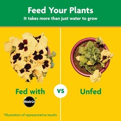 Water Soluble All Purpose Plant Food, For All Plant Types, 7.5 lb.