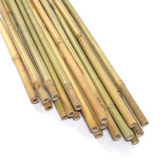 8 Ft. X 3/4 In. Natural Bamboo Garden Plant Stakes for Climbing Support (10-Pack