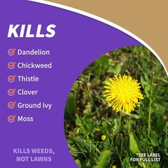 Bonide Captain Jack’s Lawnweed Brew, Controls Disease and Weeds, 32 oz