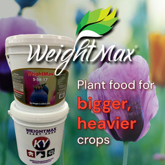 1KG WeightMax 5-58-17 Fertilizer for Bigger Heavier Crops