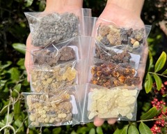 Resin Incense Starter Kit: Set of 8 Resin Sampler, Burner, Charcoal & Tongs