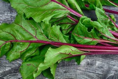 75 Giant Red BEET Mangelwurzel Mangel Mangold Wurzel Mammoth Long Beta Seeds