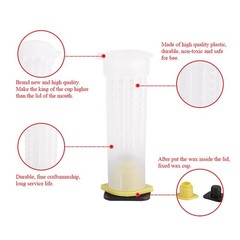 Beekeeping Nicot Bee Queen Rearing Grafting Kit for Nicot System Bee Keeping Que