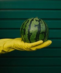 50+ Mini Watermelon Seedss (Citrullus lanatus) For Planting