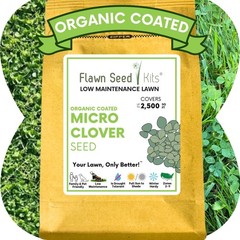 Micro Clover Seed, Organic Coated, Eco-Friendly, Low Growing, Low Maintenance