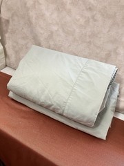 “My Pillow” Sage Green 100% Giza Egyptian Cotton Sheets Queen No Cases