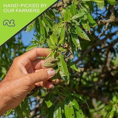 Sliced Almonds – Raw, Superior to Organic, Nut Snack, All Natural Kosher