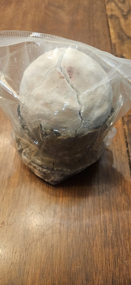 Asin Tibuok Sea salt Dino Egg, Artisana Ea Salt, Bohol Philippines