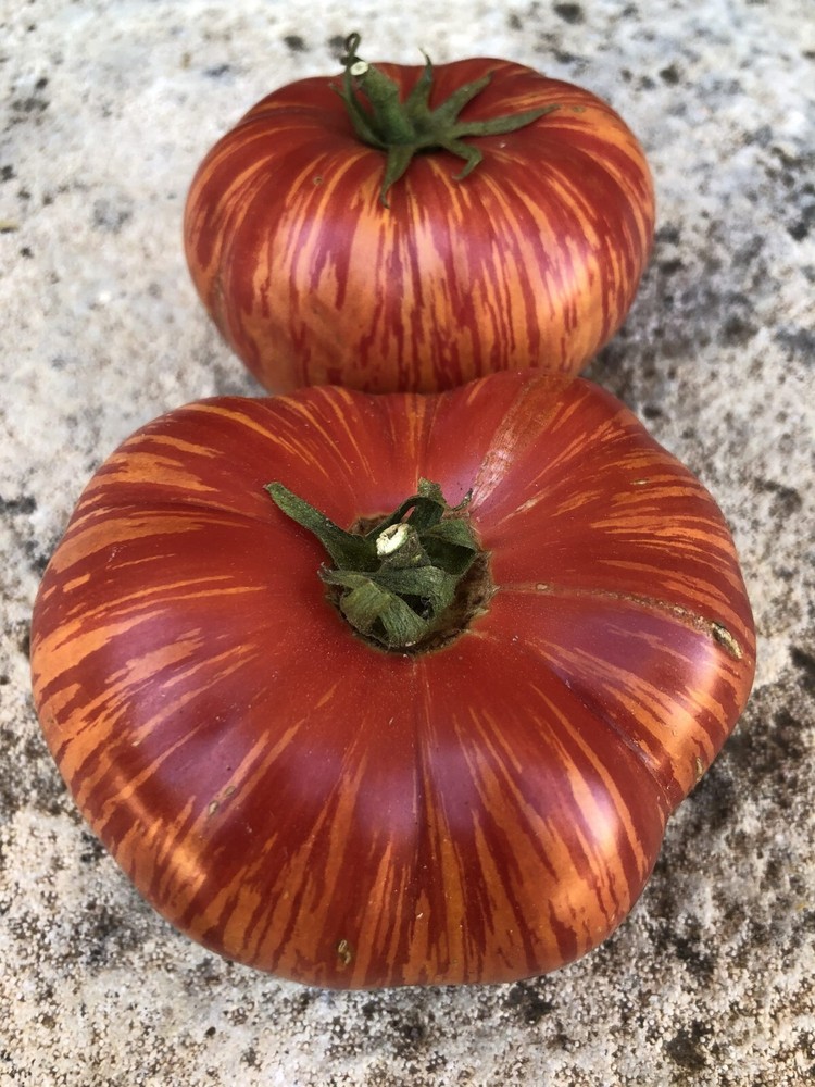 Vintage Wine Tomato Seeds, Rare Heirloom, NON-GMO, Potato Leaf, FREE SHIPPING