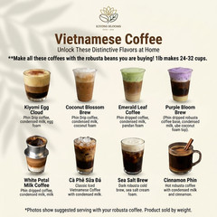 Premium Robusta Coffee Whole Beans – Medium to Dark Roast Coffee from Vietnam