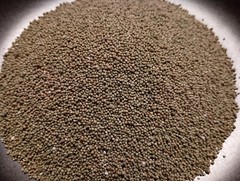 Dutch White Clover Cover Crop Seeds – NON-GMO – Heirloom Lawn Alternative
