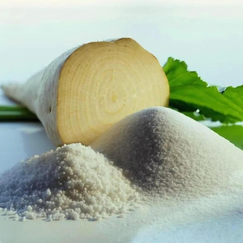 200 Sugar Beet Seeds — Natural Source of Sugar — LARGE