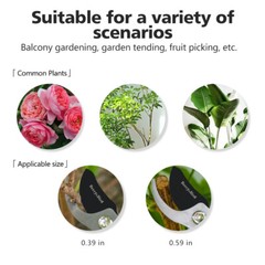 Berry&Bird Garden SK-5 Steel Pruning Shears Professional Wooden Handle Pruners