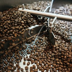5 lbs of AUTHENTIC Wallenford Estate Blue Mountain Coffee~Customize Your Order!