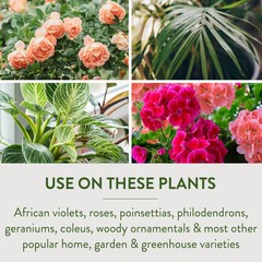 Garden Safe TAKE ROOT | ROOTING HORMONE Grow New Plants From Cuttings YARD TREES