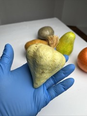 Vintage Paper Mache Faux Food Vegetables & Fruit Lot of 5 Handmade Garlic Pear