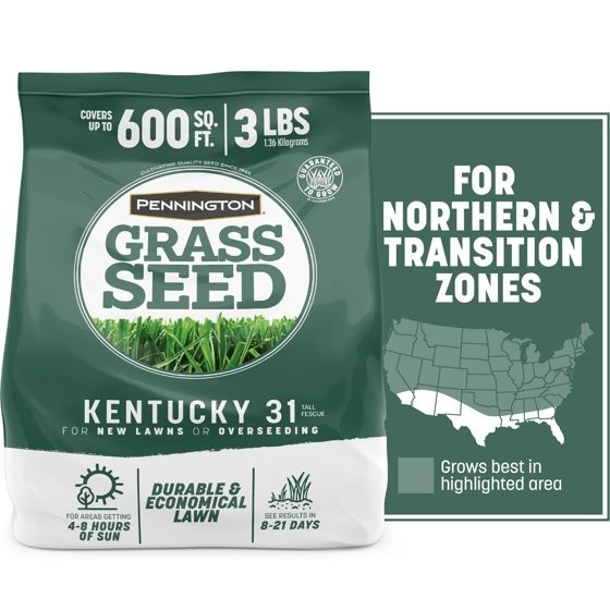 Kentucky 31 Tall Fescue Penkoted Grass Seed 3 Lb