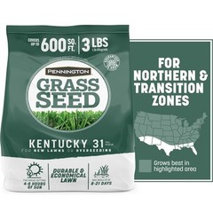 Kentucky 31 Tall Fescue Penkoted Grass Seed 3 Lb
