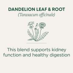 Dandelion Leaf & Root Tea 16 Bag